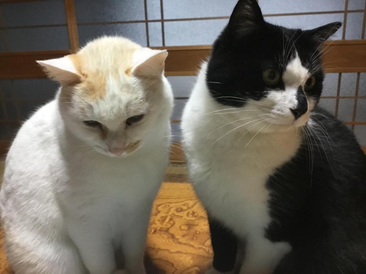 ホテル 古民家 羅美 Japanese Old Style House La Vie 綾部市 エクステリア 写真