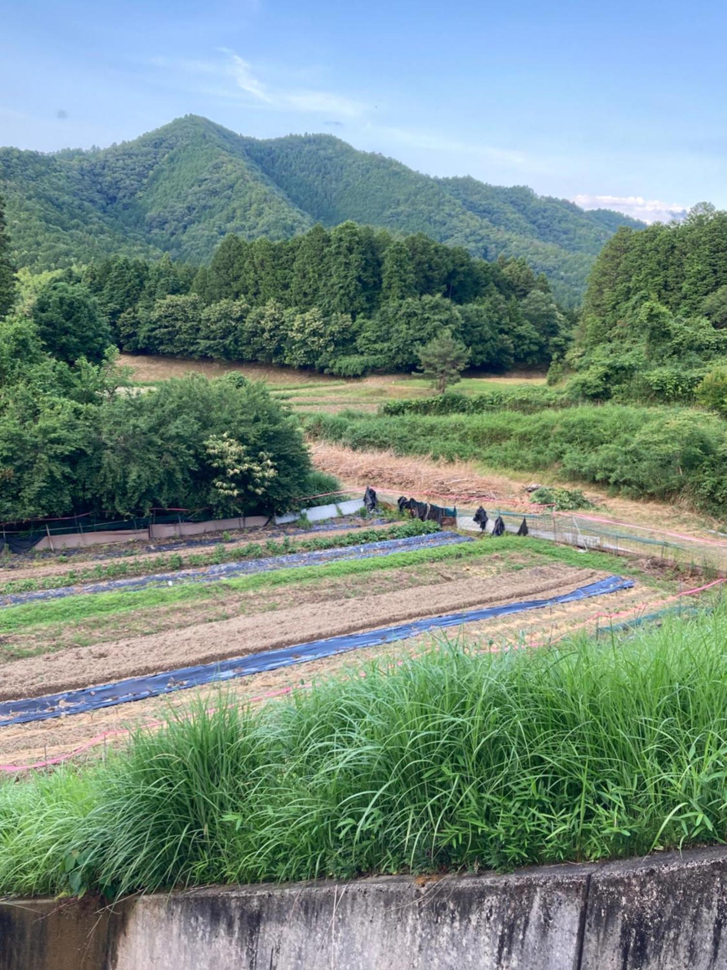 ホテル 古民家 羅美 Japanese Old Style House La Vie 綾部市 エクステリア 写真